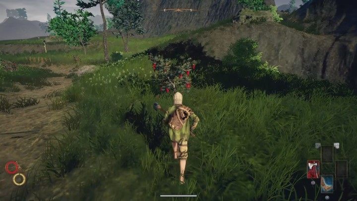 From the red Gaberry fruits, you can make jam. - How to earn the 150 silver at the beginning of Outward? - FAQ - Outward Guide