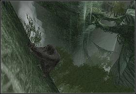 After the fight, approach the edge, then jump and catch the sticking out tree to get on the planted wall - Kong To The Rescue - Walkthrough - Peter Jacksons King Kong - Game Guide and Walkthrough