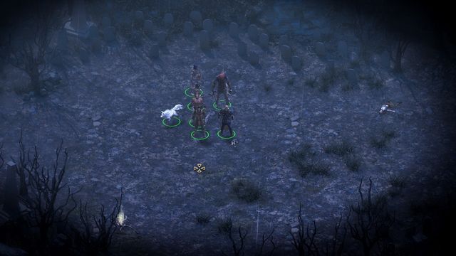 It wont matter where on the cemetery you set up the camp. - The Grey Sleeper - side quest | Pillars of Eternity The White March - Longwatch Falls - Pillars of Eternity Game Guide & Walkthrough