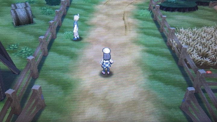 Wild, Wild West! - Heahea City, Route 4 and Paniola Ranch | Walkthrough - Game walkthrough - Pokemon Moon Game Guide