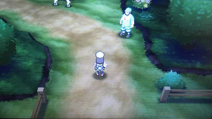 I keep wondering what I will find on Route 5 - Route 5, Brooklet Hill, Route 6 and Battle Royal Dome | Walkthrough - Game walkthrough - Pokemon Moon Game Guide