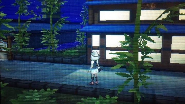 Time to discover a new island - Malie City, Malie Garden and Route 10 | Walkthrough - Game walkthrough - Pokemon Moon Game Guide