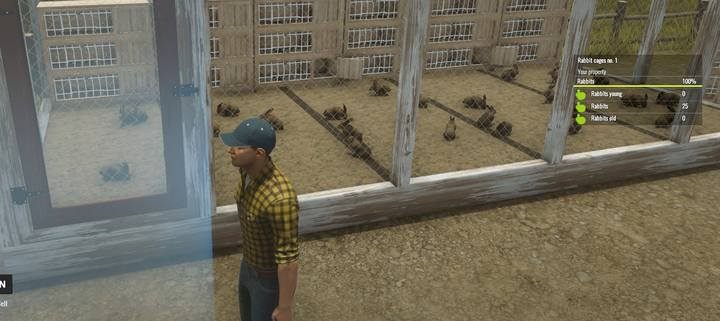 A cage with mature rabbits. - Greenhouse, small animals and investments, Pure Farming 2018 Walkthrough - Story Mode - Pure Farming 2018 Game Guide