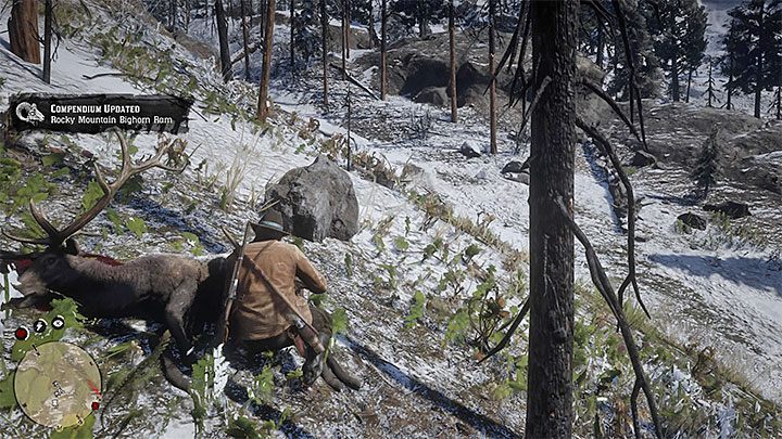 Trophy/Achievement type: bronze - Red Dead Redemption 2: Trophies, Achievements list - Red Dead Redemption 2: Appendix - Red Dead Redemption 2 Guide