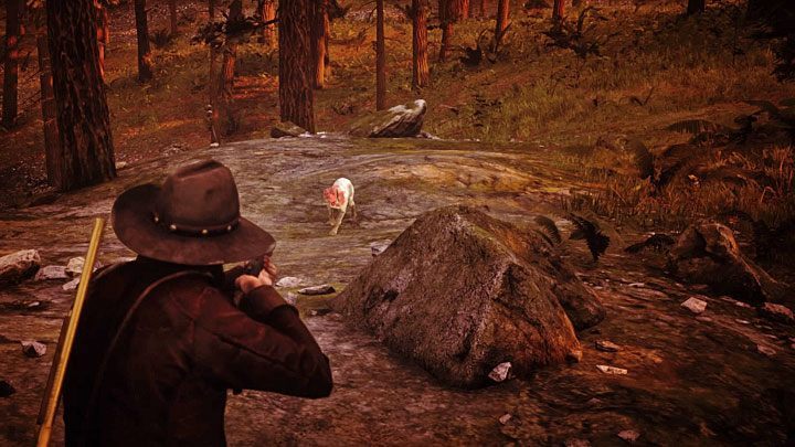 If you want to kill Otis, just eliminate every single bandit in the camp - Red Dead Redemption 2: Otis Skinner - Bounty Hunting Mission - Red Dead Redemption 2: Blackwater - Red Dead Redemption 2 Guide