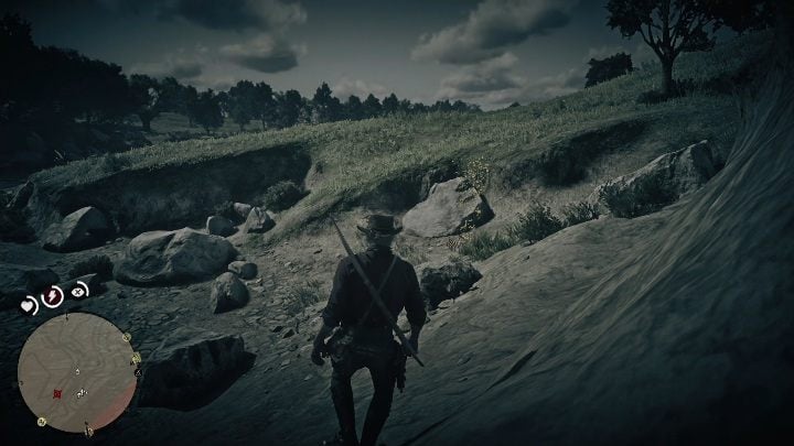 The bones are located between large stones - Red Dead Redemption 2: Dinosaur Bones - where to find all of them? Maps - Red Dead Redemption 2: Dinosaur bones and Rock Carvings - Red Dead Redemption 2 Guide