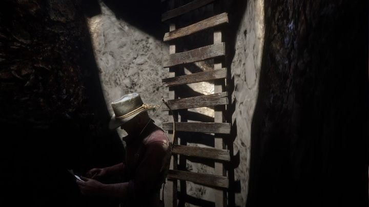 To get these bones you have to go down the ladder into the hole - Red Dead Redemption 2: Dinosaur Bones - where to find all of them? Maps - Red Dead Redemption 2: Dinosaur bones and Rock Carvings - Red Dead Redemption 2 Guide