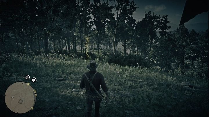 These bones are buried under the ground - look around carefully - Red Dead Redemption 2: Dinosaur Bones - where to find all of them? Maps - Red Dead Redemption 2: Dinosaur bones and Rock Carvings - Red Dead Redemption 2 Guide