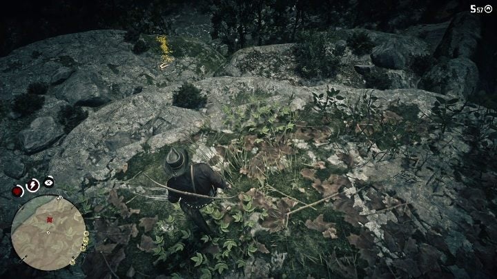 The bones are on the northern stone ledge - Red Dead Redemption 2: Dinosaur Bones - where to find all of them? Maps - Red Dead Redemption 2: Dinosaur bones and Rock Carvings - Red Dead Redemption 2 Guide