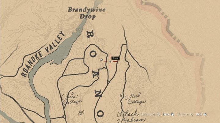 These bones are located in the eastern part of Roanoke Valley - Red Dead Redemption 2: Dinosaur Bones - where to find all of them? Maps - Red Dead Redemption 2: Dinosaur bones and Rock Carvings - Red Dead Redemption 2 Guide