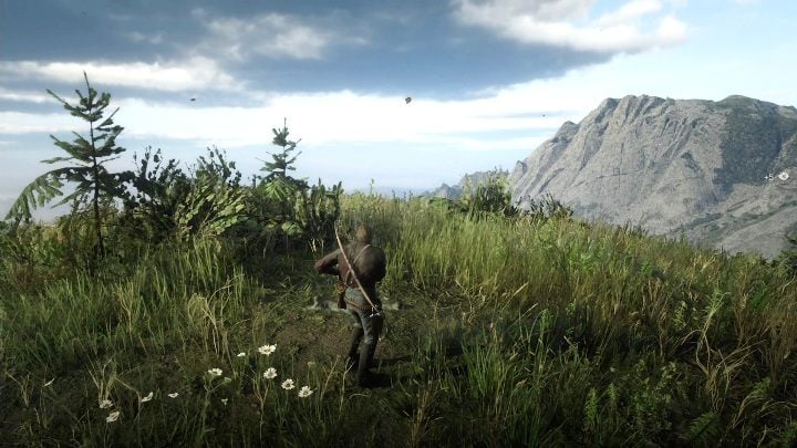 This is another bone found on top of a cliff - Red Dead Redemption 2: Dinosaur Bones - where to find all of them? Maps - Red Dead Redemption 2: Dinosaur bones and Rock Carvings - Red Dead Redemption 2 Guide