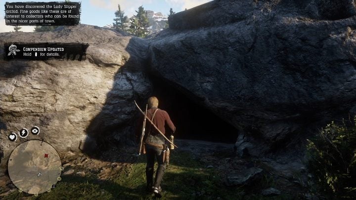 Get inside the cave - Red Dead Redemption 2: Dinosaur Bones - where to find all of them? Maps - Red Dead Redemption 2: Dinosaur bones and Rock Carvings - Red Dead Redemption 2 Guide