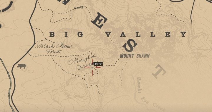 Theyre located south from Big Valley - Red Dead Redemption 2: Dinosaur Bones - where to find all of them? Maps - Red Dead Redemption 2: Dinosaur bones and Rock Carvings - Red Dead Redemption 2 Guide