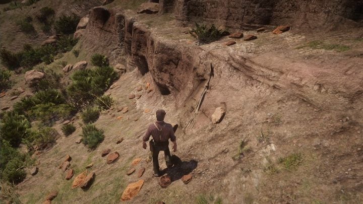 The bone is on the hillside - Red Dead Redemption 2: Dinosaur Bones - where to find all of them? Maps - Red Dead Redemption 2: Dinosaur bones and Rock Carvings - Red Dead Redemption 2 Guide