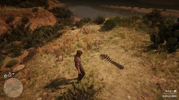 The bone is on top of the hill, in the grass - Red Dead Redemption 2: Dinosaur Bones - where to find all of them? Maps - Red Dead Redemption 2: Dinosaur bones and Rock Carvings - Red Dead Redemption 2 Guide