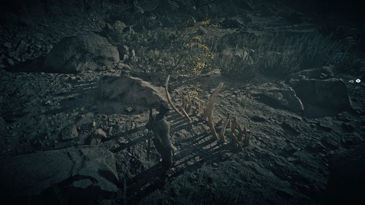 The bone is among stones - Red Dead Redemption 2: Dinosaur Bones - where to find all of them? Maps - Red Dead Redemption 2: Dinosaur bones and Rock Carvings - Red Dead Redemption 2 Guide