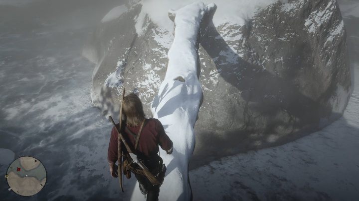 In this area, you will find a piece of a tree - Red Dead Redemption 2: High Stakes Treasure Map - how to get the treasure? - Red Dead Redemption 2: Treasure Maps - Red Dead Redemption 2 Guide