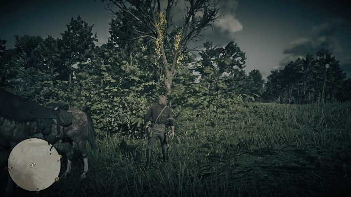 The first Dreamcatcher can be found in the northern part of Lemoyne - Red Dead Redemption 2: Dreamcatchers - where to find all of them? Maps - Red Dead Redemption 2: Other Secrets and collectibles - Red Dead Redemption 2 Guide