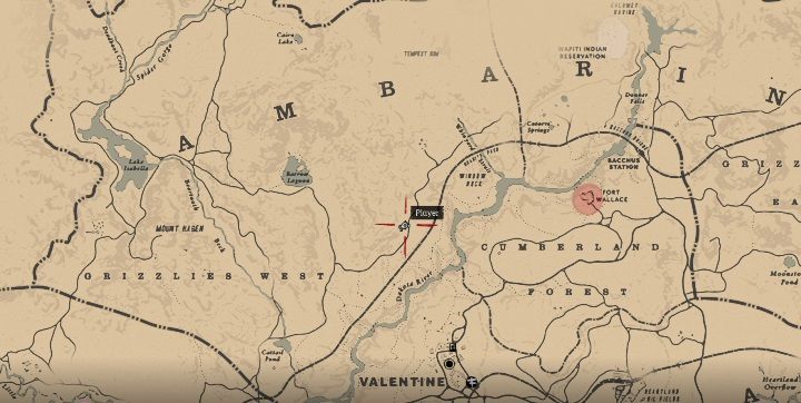 8 - Red Dead Redemption 2: Dreamcatchers - where to find all of them? Maps - Red Dead Redemption 2: Other Secrets and collectibles - Red Dead Redemption 2 Guide