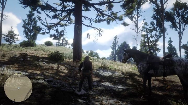 This Dreamcatcher can be found in the southern part of Ambarino, near Cotorra Springs - Red Dead Redemption 2: Dreamcatchers - where to find all of them? Maps - Red Dead Redemption 2: Other Secrets and collectibles - Red Dead Redemption 2 Guide