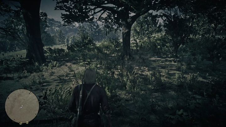 This Dreamcatcher can be found above The Heartlands - Red Dead Redemption 2: Dreamcatchers - where to find all of them? Maps - Red Dead Redemption 2: Other Secrets and collectibles - Red Dead Redemption 2 Guide