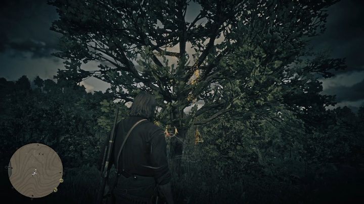This Dreamcatcher can be found near Elysian Pool - Red Dead Redemption 2: Dreamcatchers - where to find all of them? Maps - Red Dead Redemption 2: Other Secrets and collectibles - Red Dead Redemption 2 Guide
