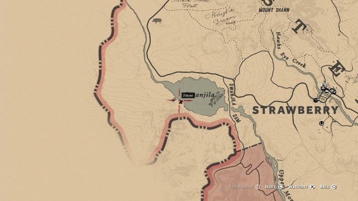 The fifth Carving you will find on the eastern part of the map, near Lake Ovanijla, near Strawberry - Red Dead Redemption 2: Rock carvings - where to find all of them? Maps - Red Dead Redemption 2: Dinosaur bones and Rock Carvings - Red Dead Redemption 2 Guide