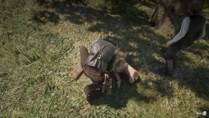 When Jack moves away a little, follow him and you will find Rufus, who was bitten by a snake - Red Dead Redemption 2: Trying Again - walkthrough - Red Dead Redemption 2: Epilogue Part 2 - Beechers Hope - Red Dead Redemption 2 Guide
