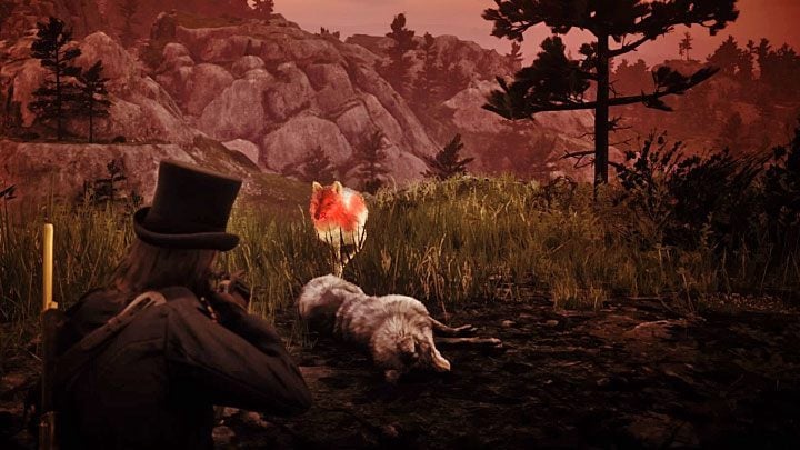 Soon after reaching the edge of the cliff you will get an opportunity to shoot the wolf - Red Dead Redemption 2: The Veteran - walkthrough, map - Red Dead Redemption 2: Side quests - Red Dead Redemption 2 Guide