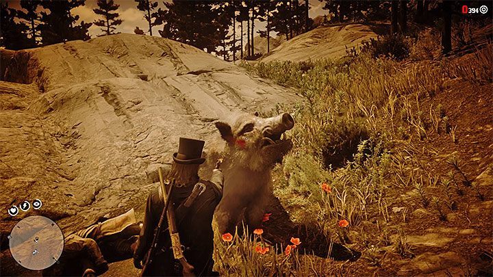 After hearing shots, go to the area that the veteran was investigating - Red Dead Redemption 2: The Veteran - walkthrough, map - Red Dead Redemption 2: Side quests - Red Dead Redemption 2 Guide
