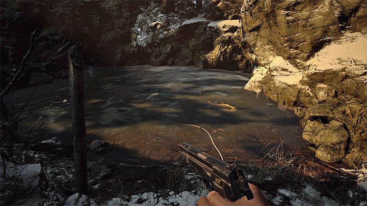 2 - Resident Evil Village: Finest Fish ingredient - how to get it? - FAQ - Resident Evil Village Guide