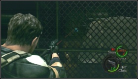 6 - Emblems - part 1 - Additional info - Resident Evil 5 - Game Guide and Walkthrough