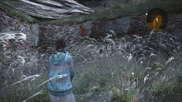 While leaving the village, you open the gate (the one that Neil opens for Claire and Moira) - Insect larvae (Natalie) - Contemplation | Emblems - Episode 2 - Contemplation - Tower emblems - Resident Evil: Revelations 2 Game Guide