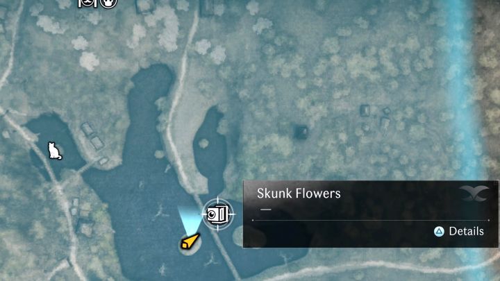 3 - Rise of the Ronin: All photos in the Edo region - Rise of the Ronin: Secrets and Collectibles - Rise of the Ronin Guide