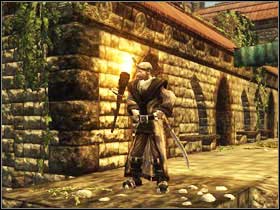 1 - Chapter 2 - Class quests - Warrior of the Order and Mage - Chapter 2 - Risen - Game Guide and Walkthrough