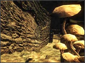 5 - Chapter 2 - Risen Island - Quests - Part 1 - Chapter 2 - Risen - Game Guide and Walkthrough