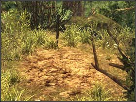 Now it's time to search five anonymous graves placed thorough the island - Chapter 2 - Risen Island - Quests - Part 3 - Chapter 2 - Risen - Game Guide and Walkthrough