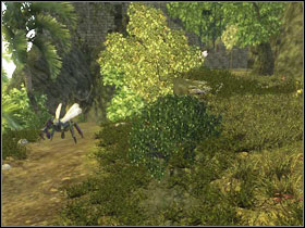 10 - Chapter 2 - Risen Island - Quests - Part 3 - Chapter 2 - Risen - Game Guide and Walkthrough