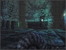 You can cross the small tunnel using the nautilus transformation spell - Chapter 4 - Risen Island Quests - Part 6 - Chapter 4 - Risen - Game Guide and Walkthrough