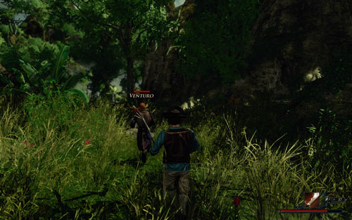 Look around for animals - Venturo will help you eliminate them. - Follow Venturo to the City - The Sword Coast - Quests - Risen 2: Dark Waters - Game Guide and Walkthrough