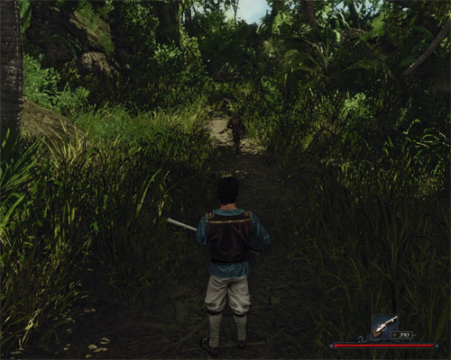 Ranapiri will run ahead. If he comes across enemies, he'll attack them at once. - Follow Ranapiri into the Jungle - The Sword Coast - Quests - Risen 2: Dark Waters - Game Guide and Walkthrough