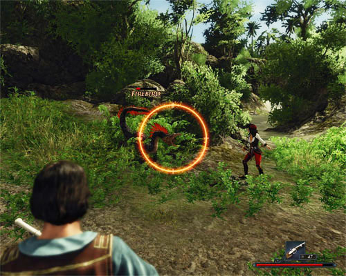 Stay back and attack from a distance. Your companions will take care of the rest. - Firebirds Blocking the Bridge - The Sword Coast - Quests - Risen 2: Dark Waters - Game Guide and Walkthrough