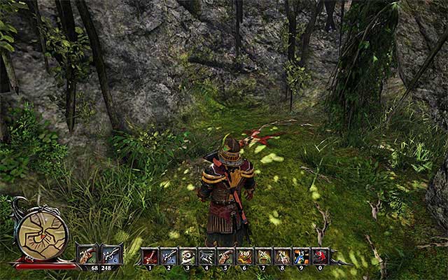 You will have to get to the Southern part of the jungle. - The Treasure in the Woods of Taranis - Side Quests - Taranis - Risen 3: Titan Lords - Game Guide and Walkthrough