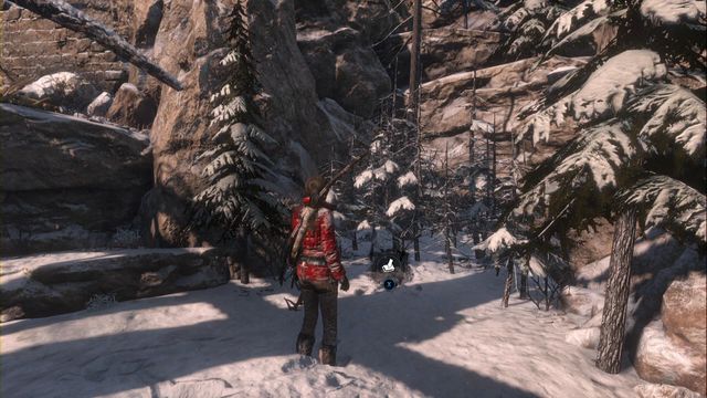 Under the fallen tree, among the small trees - Rise of the Tomb Raider: Challenges and chests, Siberian Wilderness secrets - Siberian Wilderness - Rise of the Tomb Raider Guide