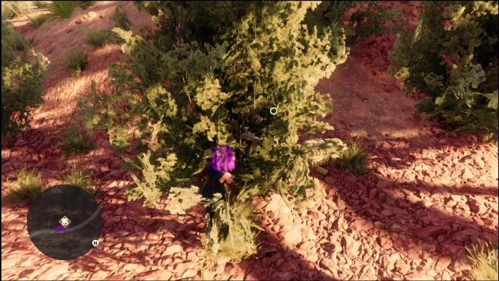 These pallets are located in the north-western part of the region - Saints Row 2022: Discoveries (Rojas Desert North) - list and description of activity - Rojas Desert North - Saints Row Guide, Walkthrough