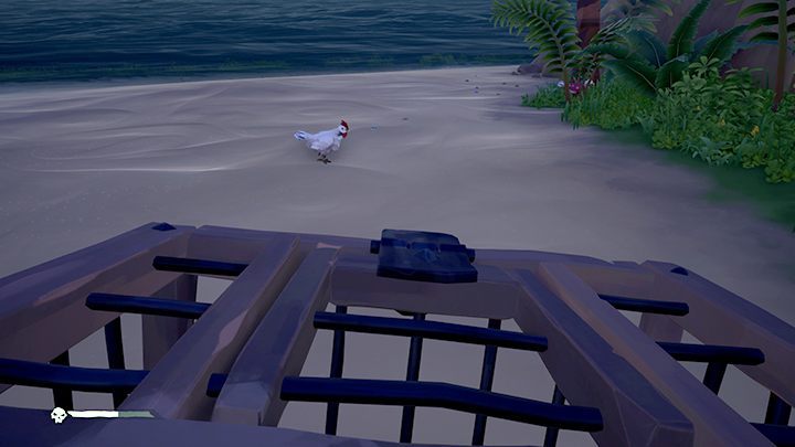 To catch a chicken, you need to chase it while holding a coop. - Sea of Thieves: Chickens, pigs - how to catch? - For Landlubbers - Sea Of Thieves Guide
