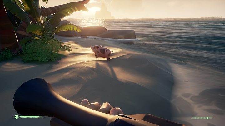 1 - Sea of Thieves: Chickens, pigs - how to catch? - For Landlubbers - Sea Of Thieves Guide