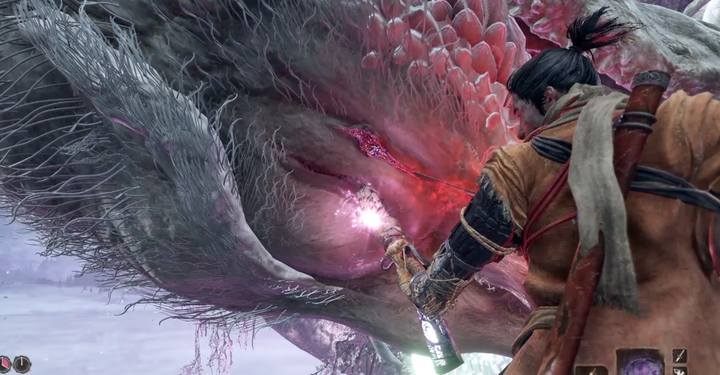 Apply the final blow, climbing the swords next to the dragons head - Divine Dragon - main boss in Sekiro: Shadows Die Twice game - Bosses - Sekiro Guide and Walkthrough