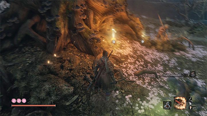 Seeds can be found during the exploration of Mibu Village, which is one of the further directions of this location - Gourd Seeds | Unique items in Sekiro Shadows Die Twice - Unique items - Sekiro Guide and Walkthrough
