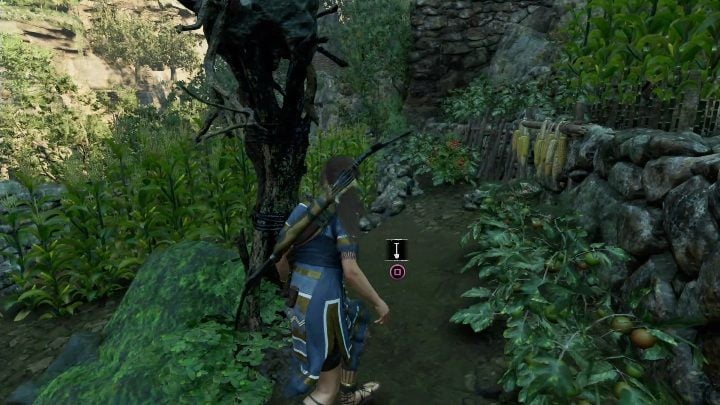 You will find the treasure among the crops, just behind the ancient scarecrow - Quechua monoliths in Shadow of the Tomb Raider Game - Monoliths - Shadow of the Tomb Raider Game Guide